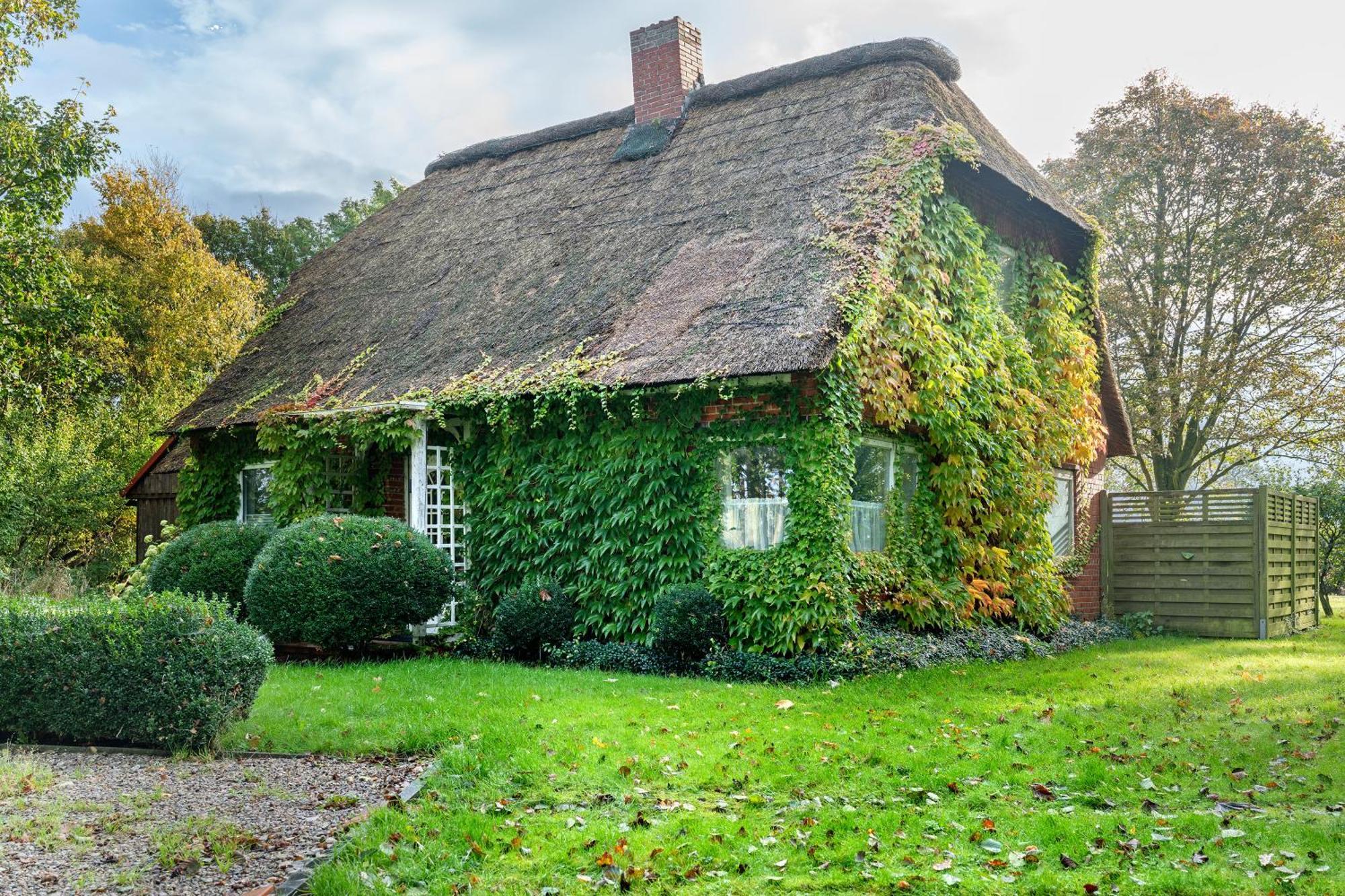 Reetdachchalet Emmelsbull-Horsbull Exterior foto