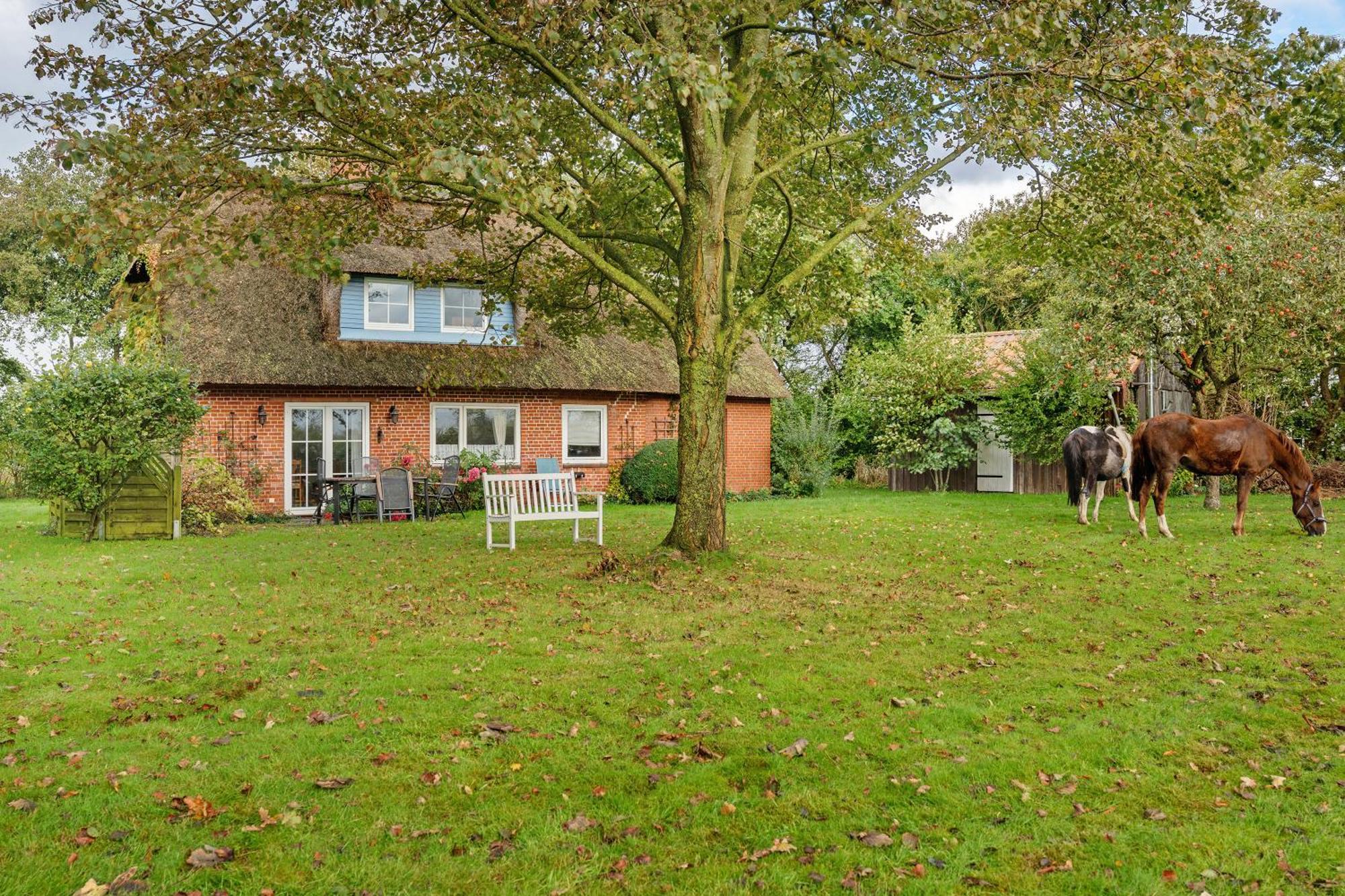 Reetdachchalet Emmelsbull-Horsbull Exterior foto